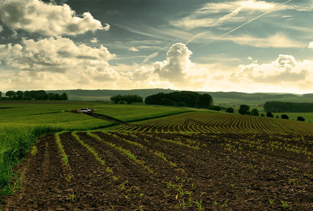 Cover your crops and rear view safely